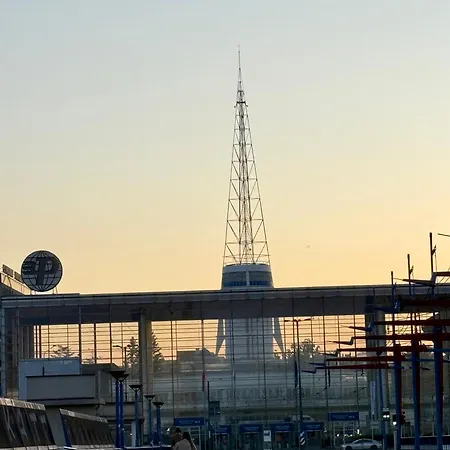 Piper Indigo Targi *