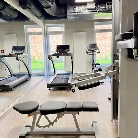 Piper Indigo Targi 포즈난